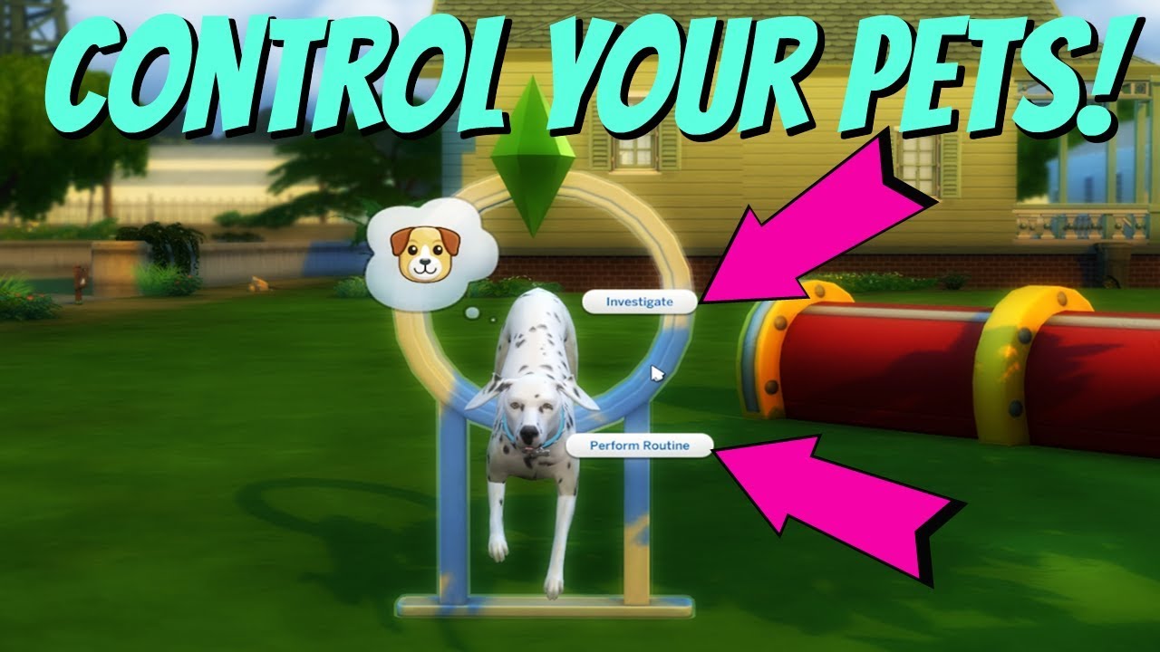 Sims 2 control pets